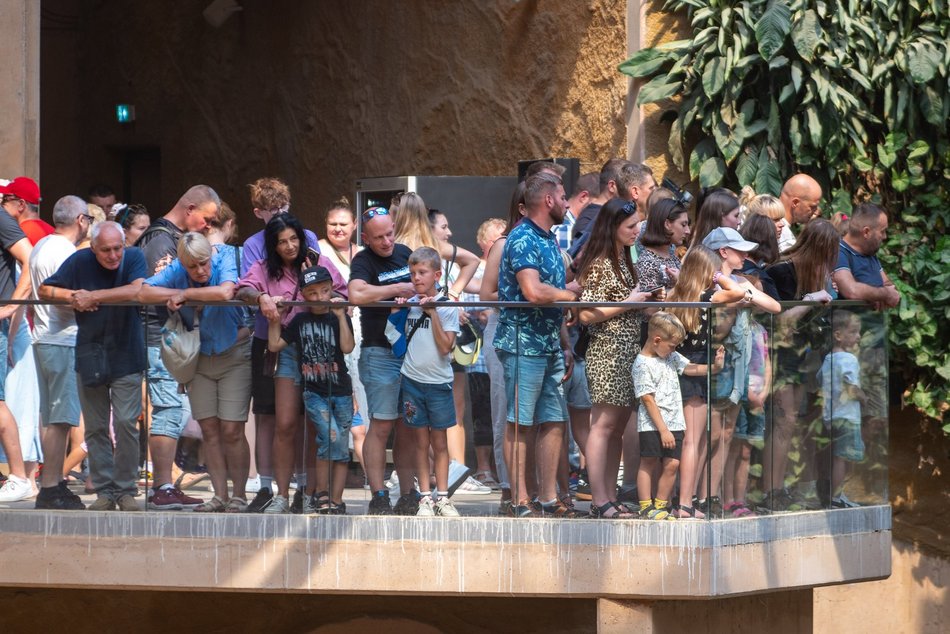 Łódź. Dzień Słonia w Orientarium Zoo Łódź. Tłumy łodzian i mnóstwo dobrej zabawy