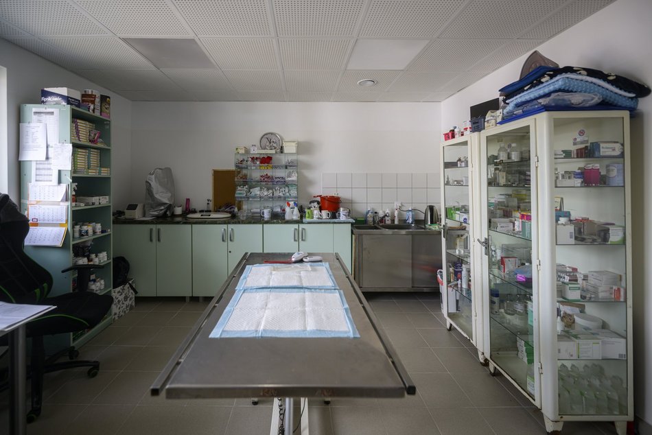 Schronisko w Łodzi świętuje koniec remontu! I zaczyna współpracę m.in. z Widzewem Łódź