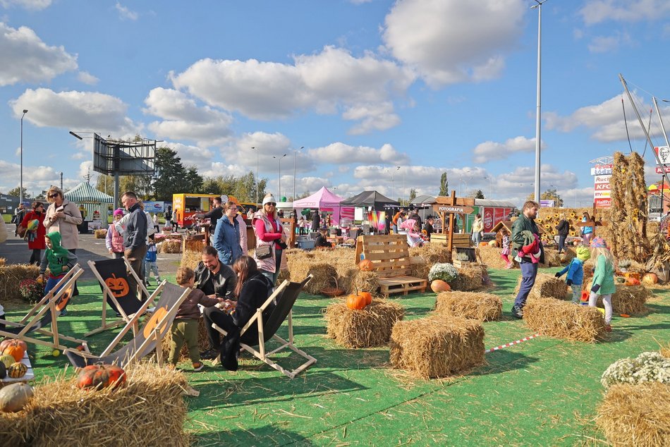 Farma Dyniowa w Pasażu Łódzkim