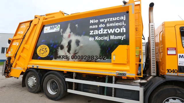 Pracownicy MPO Łódź uratowali kociaki. Teraz łączą siły z Fundacją Kocia Mama