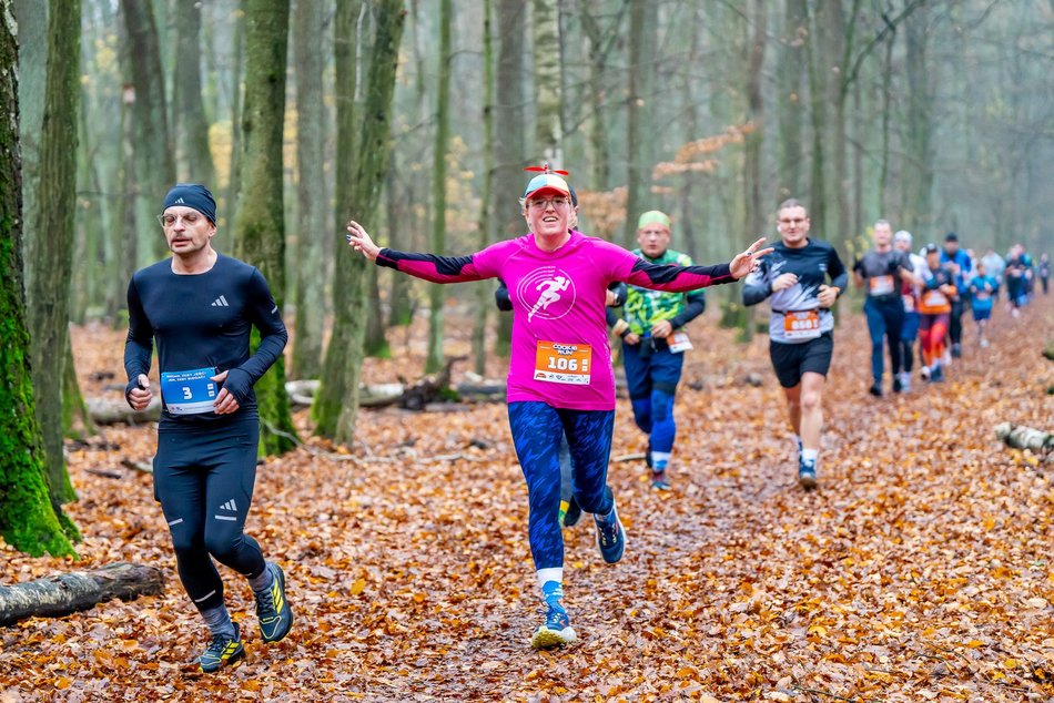 Cookie Run w Lesie Łagiewnickim w Łodzi