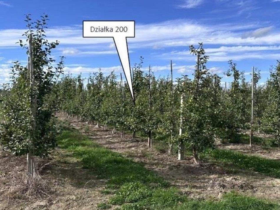 Łódź. Działka rolna w Sadkowicach (obręb 24)