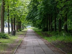 Łódź. Nowa droga rowerowa przy Unii Lubelskiej w Łodzi. Start prac już w wakacje!
