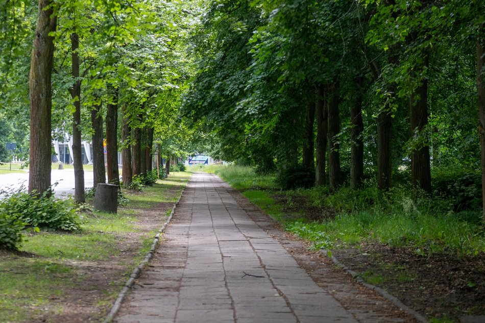 Łódź. Nowa droga rowerowa przy Unii Lubelskiej w Łodzi. Start prac już w wakacje!