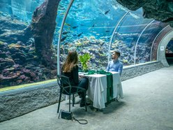 Łódź. Walentynki w Orientarium Zoo Łódź. Spacer po Parku Miliona Świateł, kolacja z rybkami i karaczany