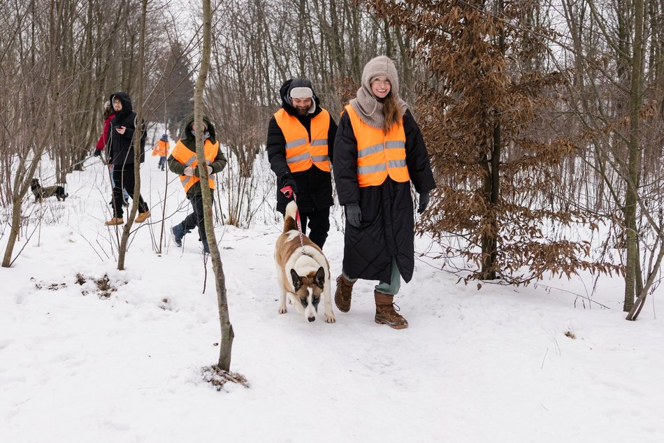 Łódź. Psy ze schroniska w Łodzi znów na spacerze! Dla tych wesołych pyszczków aż chce się chodzić!