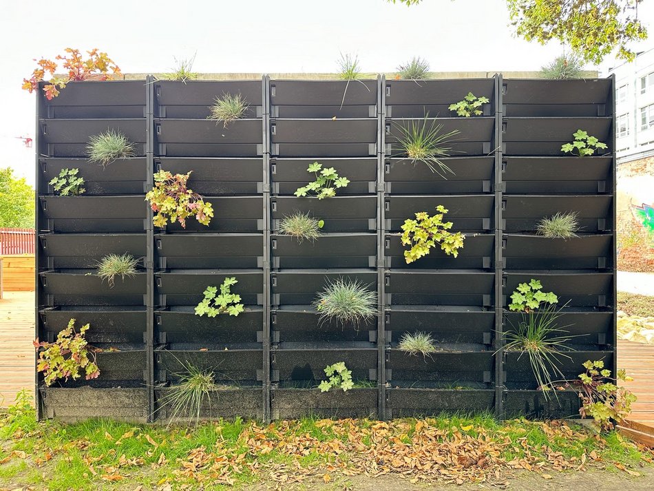 Łódź, skwer Kunki, ogród wertykalny