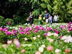 Decyduj o losach Ogrodu Botanicznego w Łodzi. Przyjdź na spotkania, warsztaty i spacery badawcze