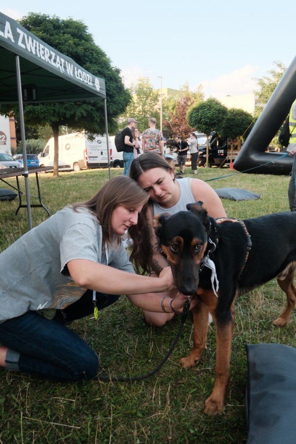 Łódź. Psia Polówka za nami! Na Olechowie pojawili się łodzianie ze swoimi czworonogami