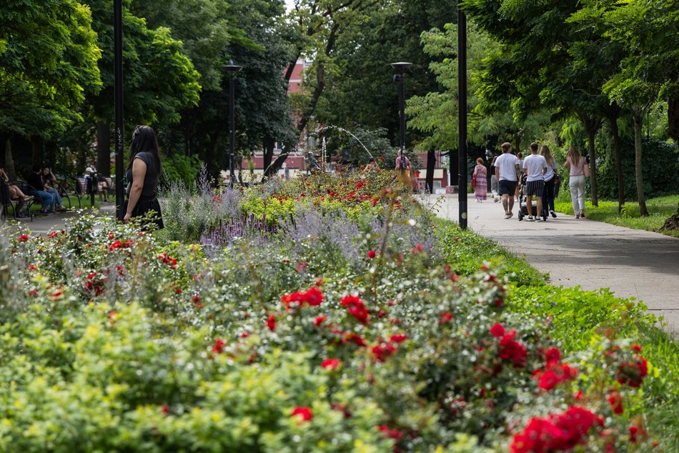Łódź. Pierwszy sierpniowy weekend na Piotrkowskiej. Tłumy łodzian i turystów!