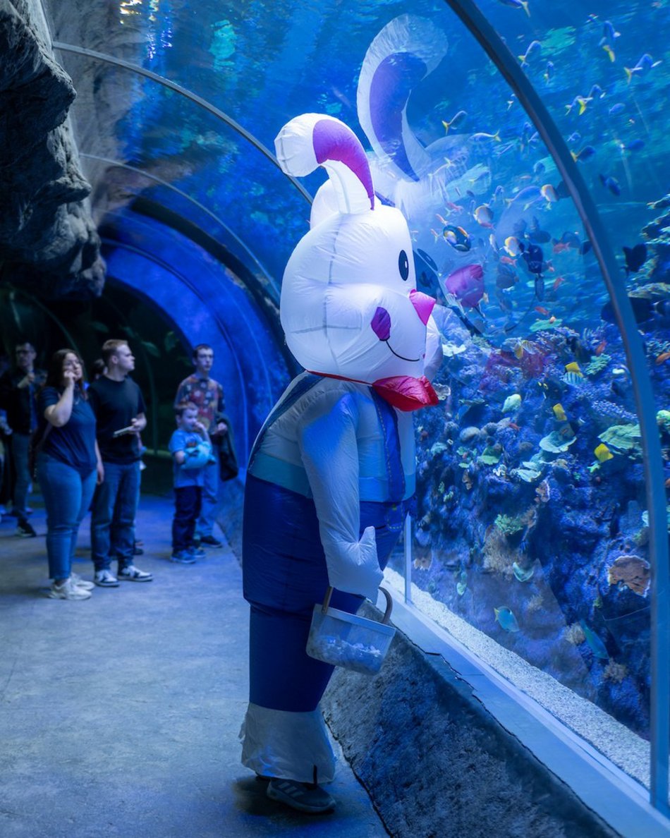 Łódź. Wielkanocny zając w Orientarium Zoo Łódź