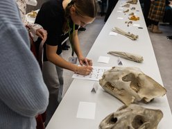 Instytut Kreatywnej Biologii – odkryj naukę z pasją! Uniwersytet Łódzki zaprasza