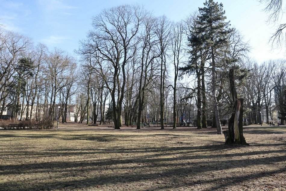 Remont Parku Reymonta w Łodzi. Na co przeznaczą 250 tys. złotych dofinansowania?