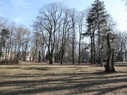 Remont Parku Reymonta w Łodzi. Na co przeznaczą 250 tys. złotych dofinansowania?