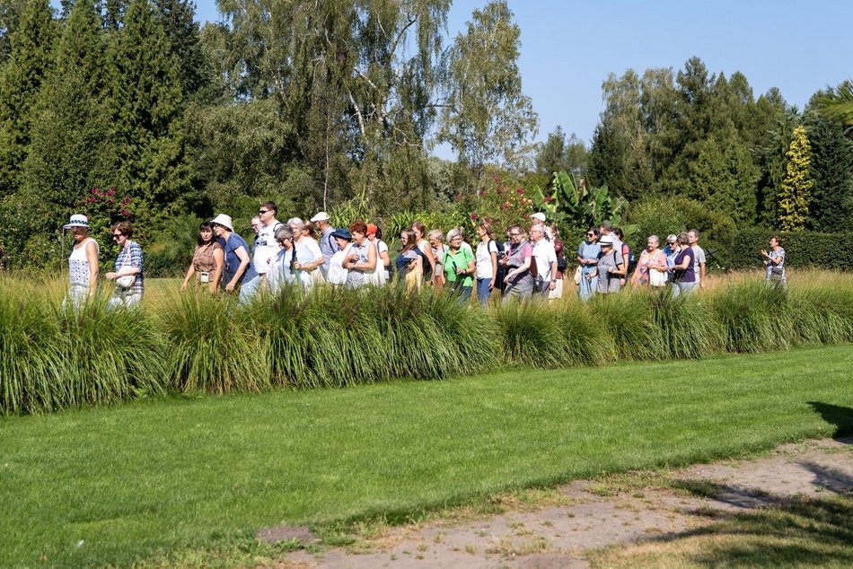 Odkryj park leśny na Janowie. Wybierz się na darmowy spacer z przewodnikiem