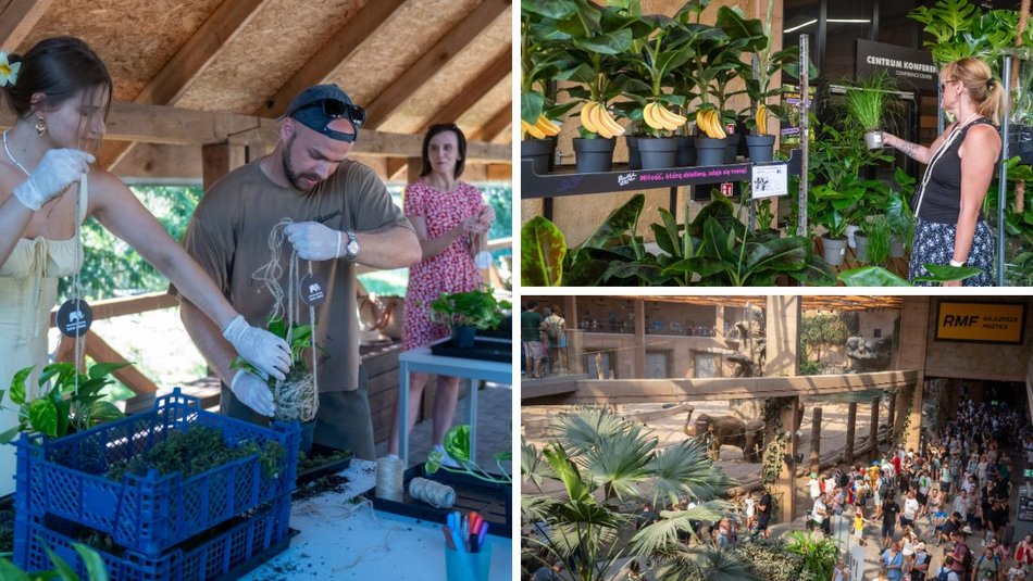 Łódź. Zielona Feta w Orientarium Zoo Łódź. Moc atrakcji na długi weekend