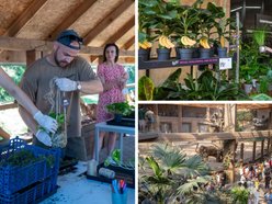 Łódź. Zielona Feta w Orientarium Zoo Łódź. Moc atrakcji na długi weekend