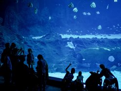 Orientarium Zoo Łódź