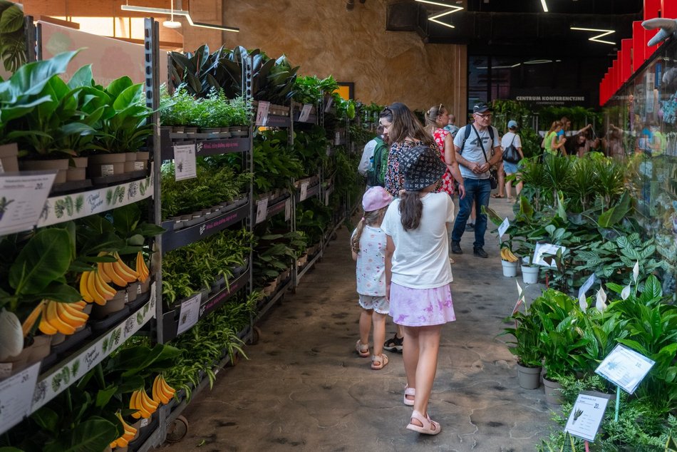 Łódź. Zielona Feta w Orientarium Zoo Łódź. Moc atrakcji na długi weekend