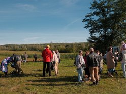 Las Młodej Łodzi powiększył się! Nowe dęby i lipy na pamiątkę narodzin dziecka
