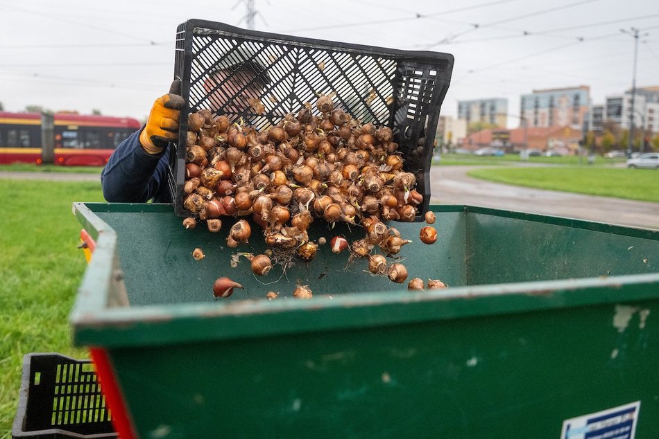 Łódź. Miasto rozkwitnie dzięki Budżetowi Obywatelskiemu Łódź