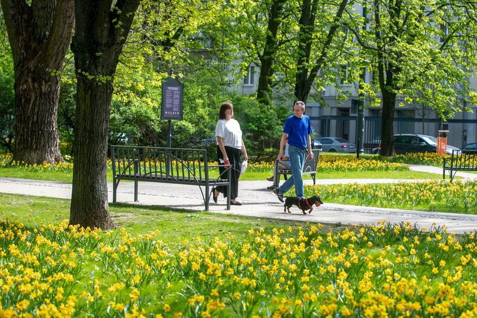 Zielone standardy nowych inwestycji w Łodzi
