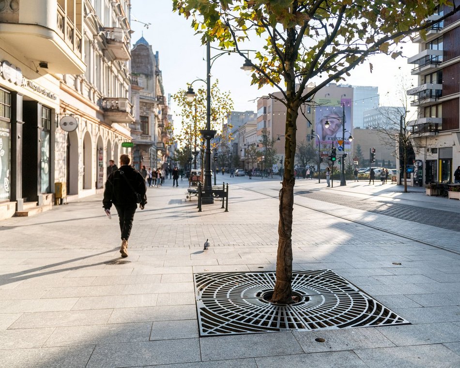 Łódź. Drzewa osłonięte przed zimą