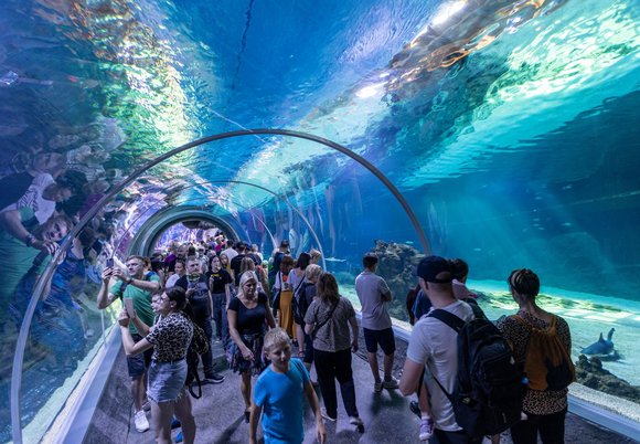 Łódź. Długi weekend w Orientarium Zoo Łódź. Warsztaty, targi roślinne i atrakcje dla dzieci