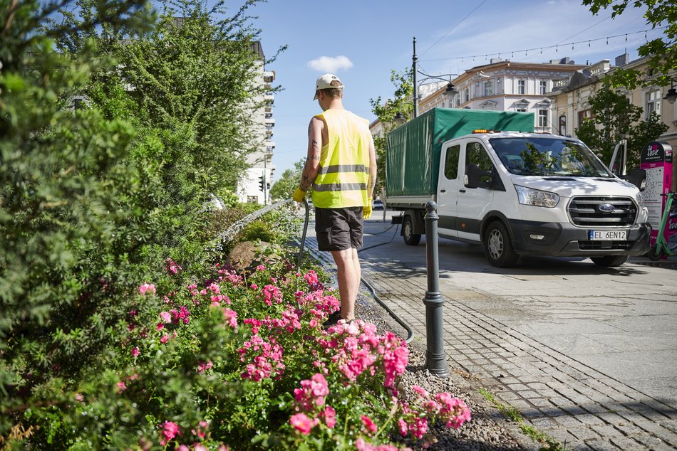 Łódź dba o zieleń