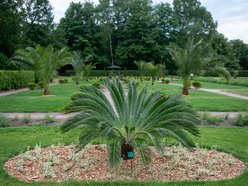 Ogród Fabrykanta w Ogrodzie Botanicznym w Łodzi