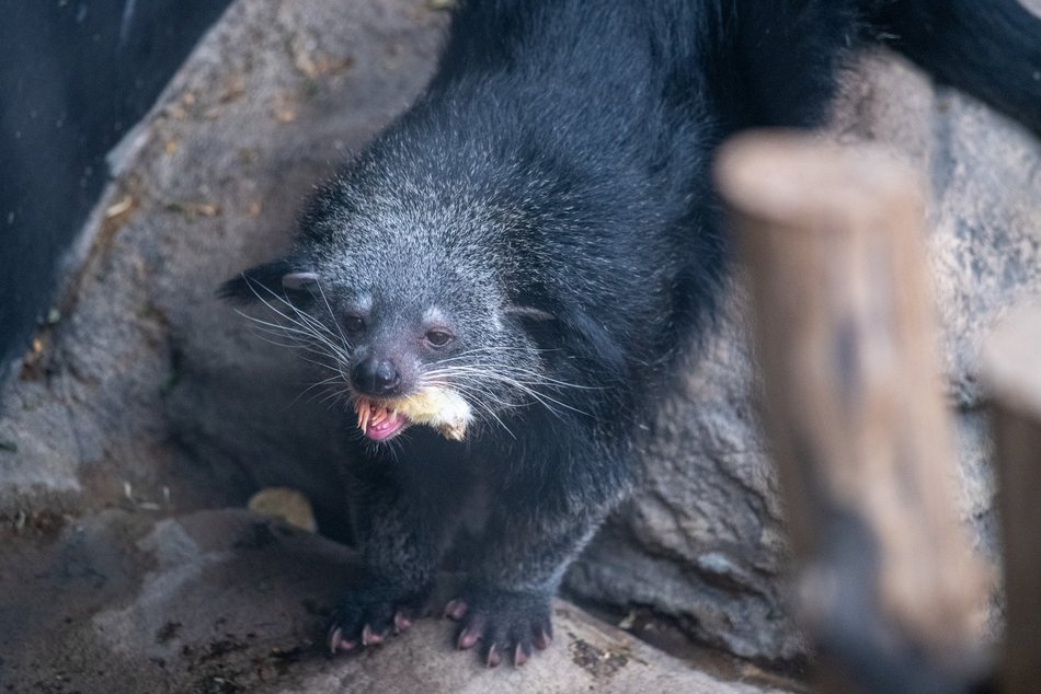 фото Paweł Łacheta