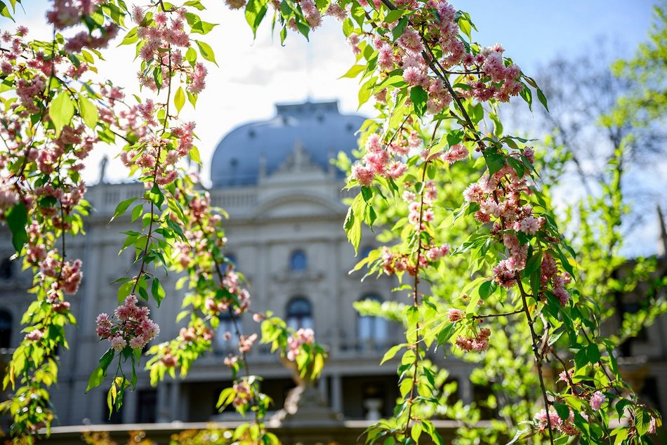 Łódź. Ogród Muzeum Miasta Łodzi otwiera się na wiosnę! Wejście również od strony Manufaktury