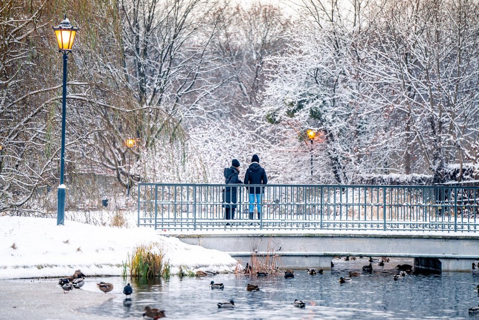 Park Helenów zimą