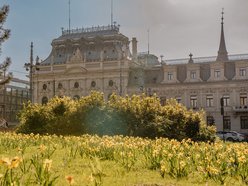 Park Staromiejski w Łodzi - wiosna, zieleń