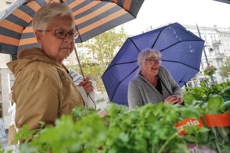 Światowy Dzień Recyklingu Baterii w Łodzi