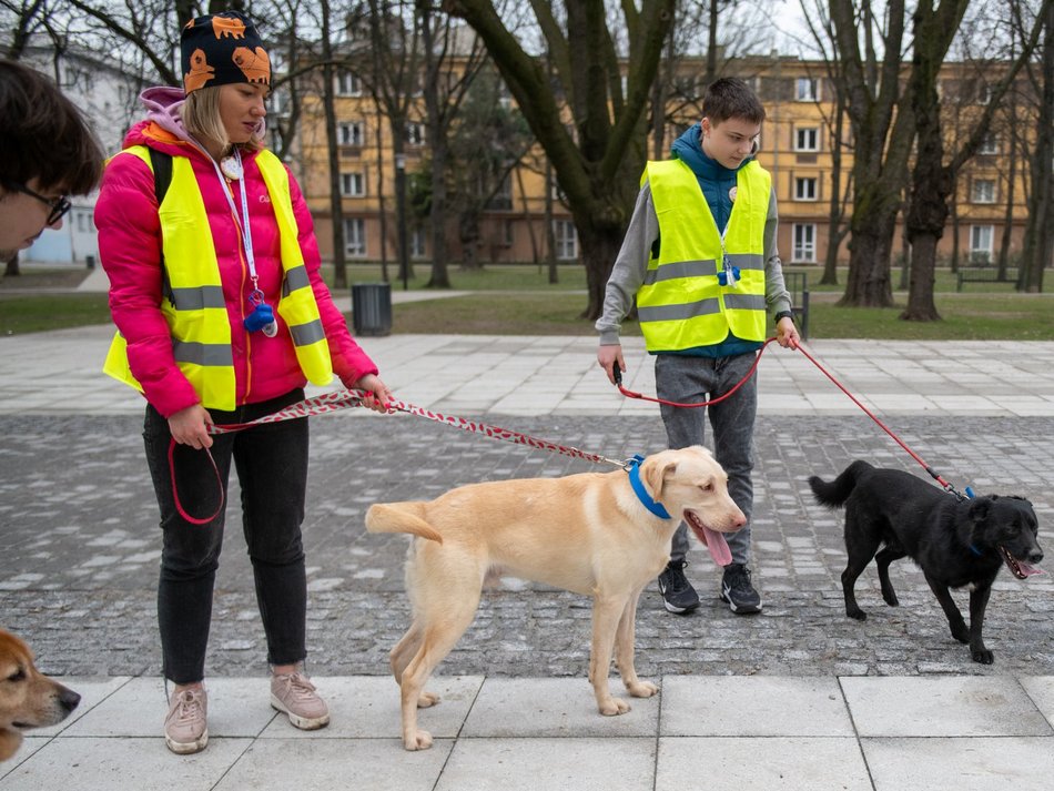 Schronisko w Łodzi z nowymi wolontariuszami