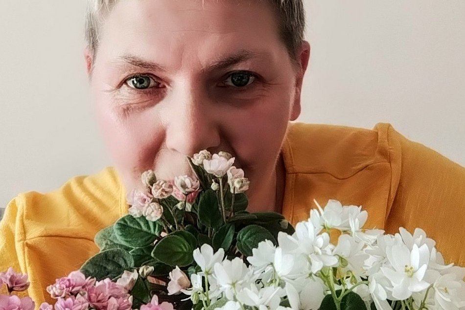 Łódź. Ponad 400 odmian fiołków afrykańskich. Niezwykła pasja Agnieszki Kunickiej-Kakietek