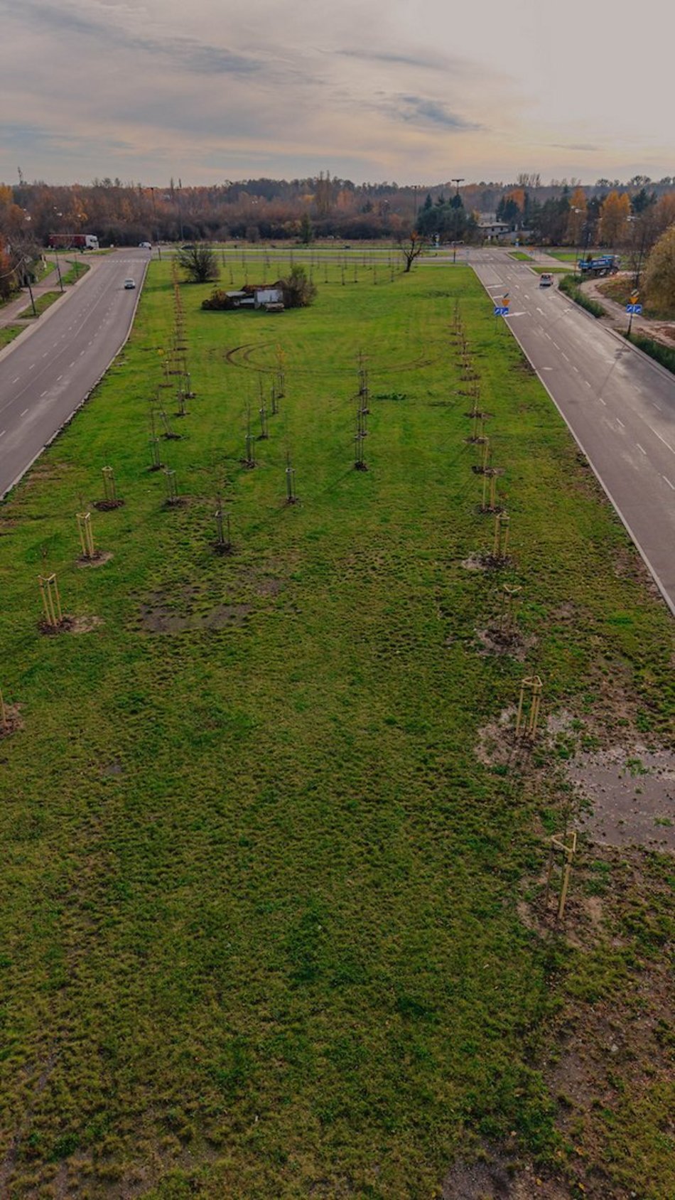 Łódź. Kolejne drzewa w centrum Łodzi!