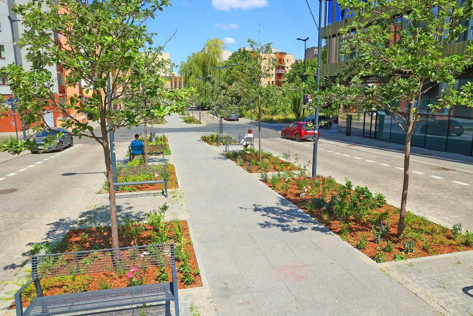 Łódź. Knychalskiego w Łodzi cała w zieleni! Nowe drzewa, kwiaty i rabaty