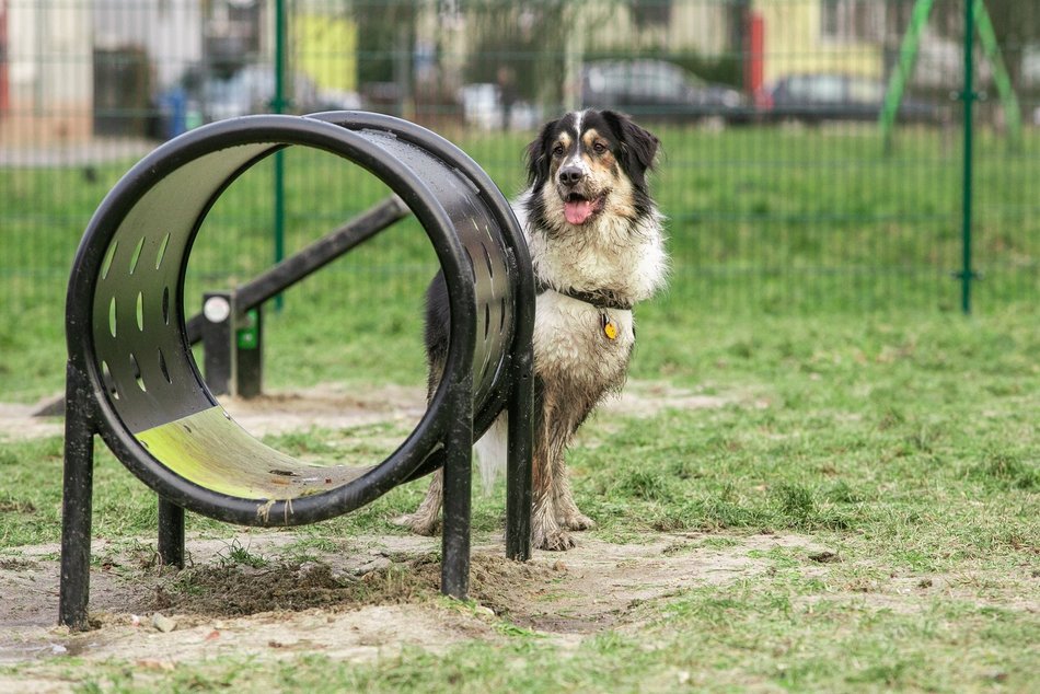 Łódź. Łódź dla aktywnych
