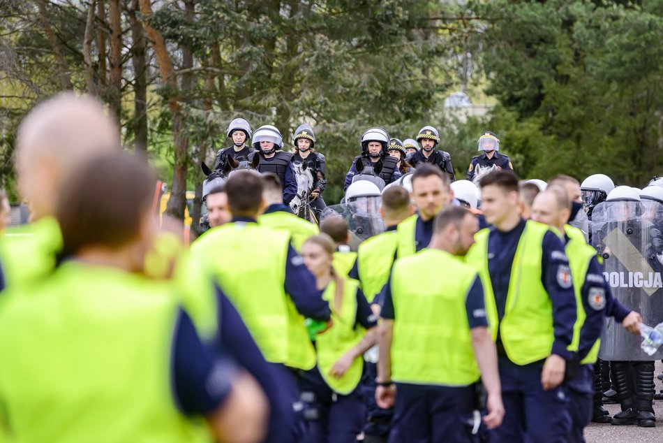 Łódź. Zwierzęta Straży Miejskiej na szkoleniu