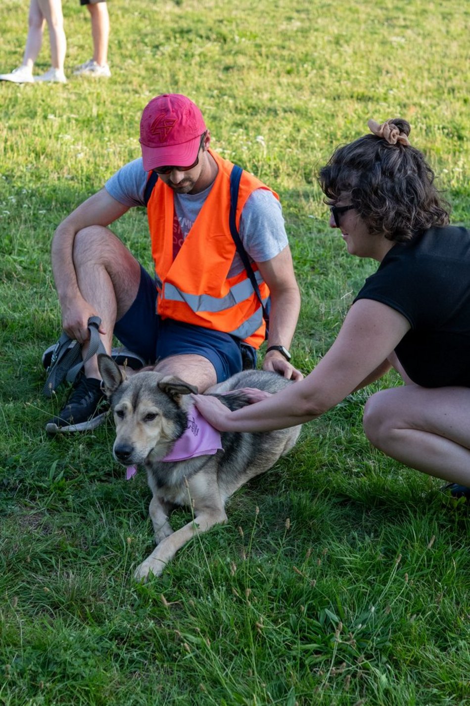 Łódź. Psia Polówka na Widzewskiej Górce. Psiaki przejęły dowodzenie!