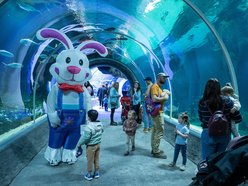 Łódź. Wielkanocny zając w Orientarium Zoo Łódź