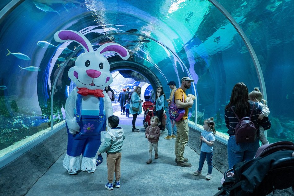 Łódź. Wielkanocny zając w Orientarium Zoo Łódź