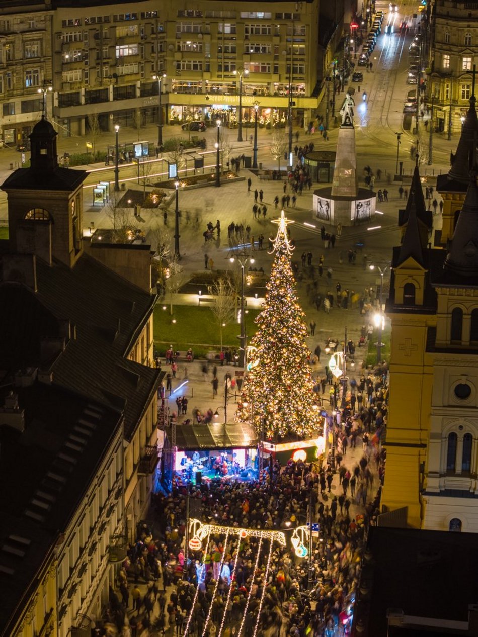 Choinka na placu Wolności w Łodzi