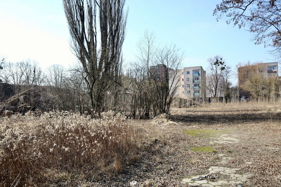 Łódź. Teren przy ul. Harcerskiej w Łodzi
