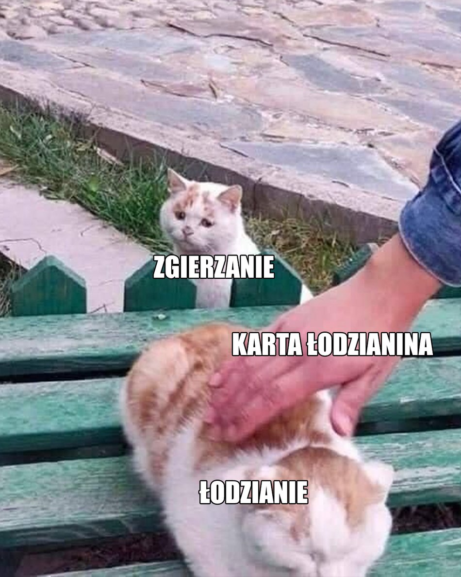 mem o łodzi