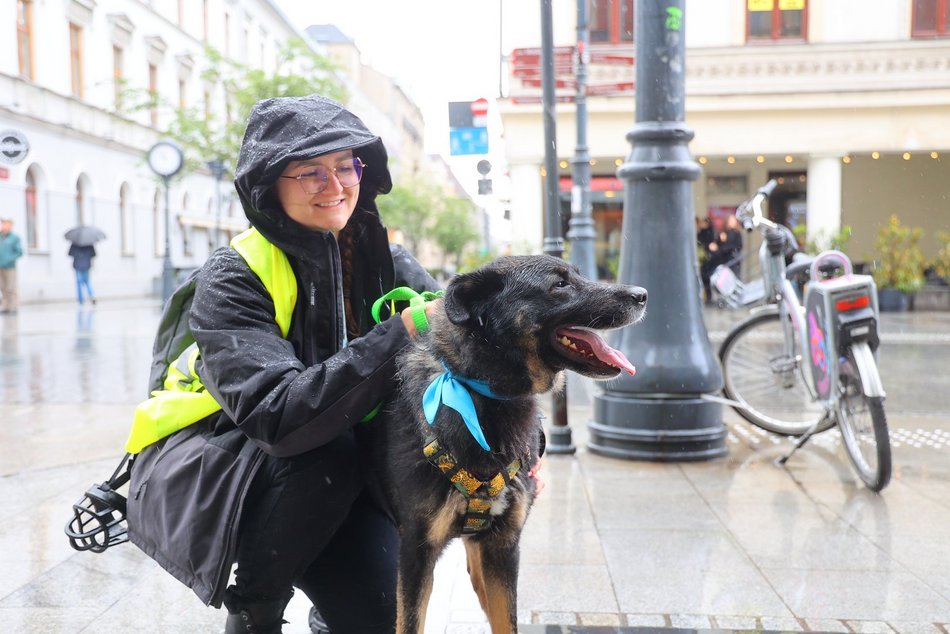 Parada kundelków w Łodzi 2025 przeszła ulicami. Skala słodyczy wysoka jak nigdy!