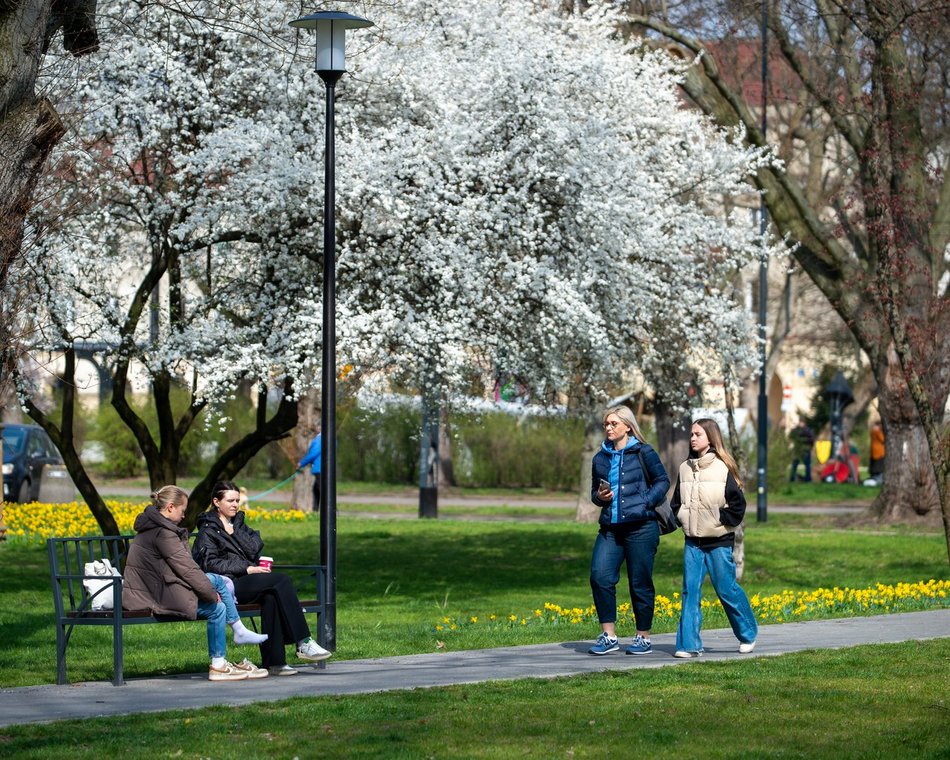 Park Staromiejski w Łodzi tętni życiem. To był weekend pełen atrakcji!