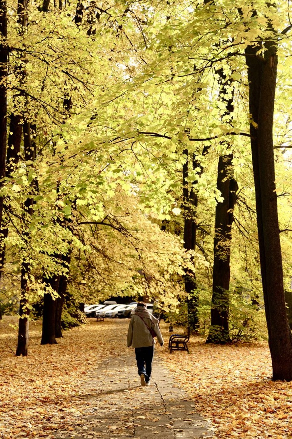 Łódź. Skwer Niemczyka w Łodzi wygląda zjawiskowo. Jesienne barwy nadają mu uroku